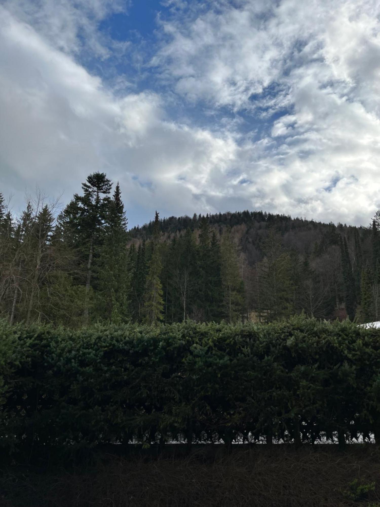 Fewo Lautersee Mittenwald Eksteriør bilde