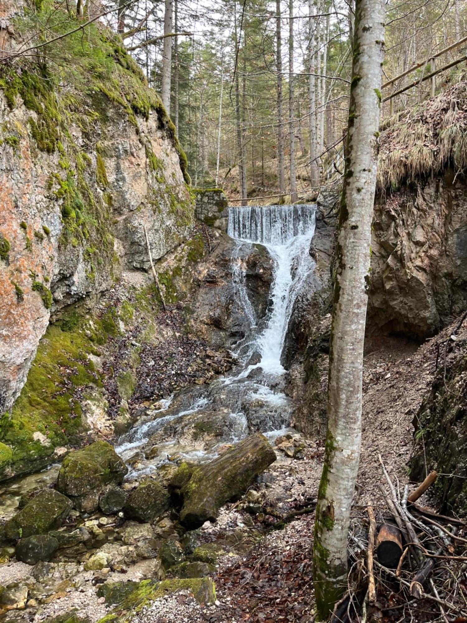Fewo Lautersee Mittenwald Eksteriør bilde