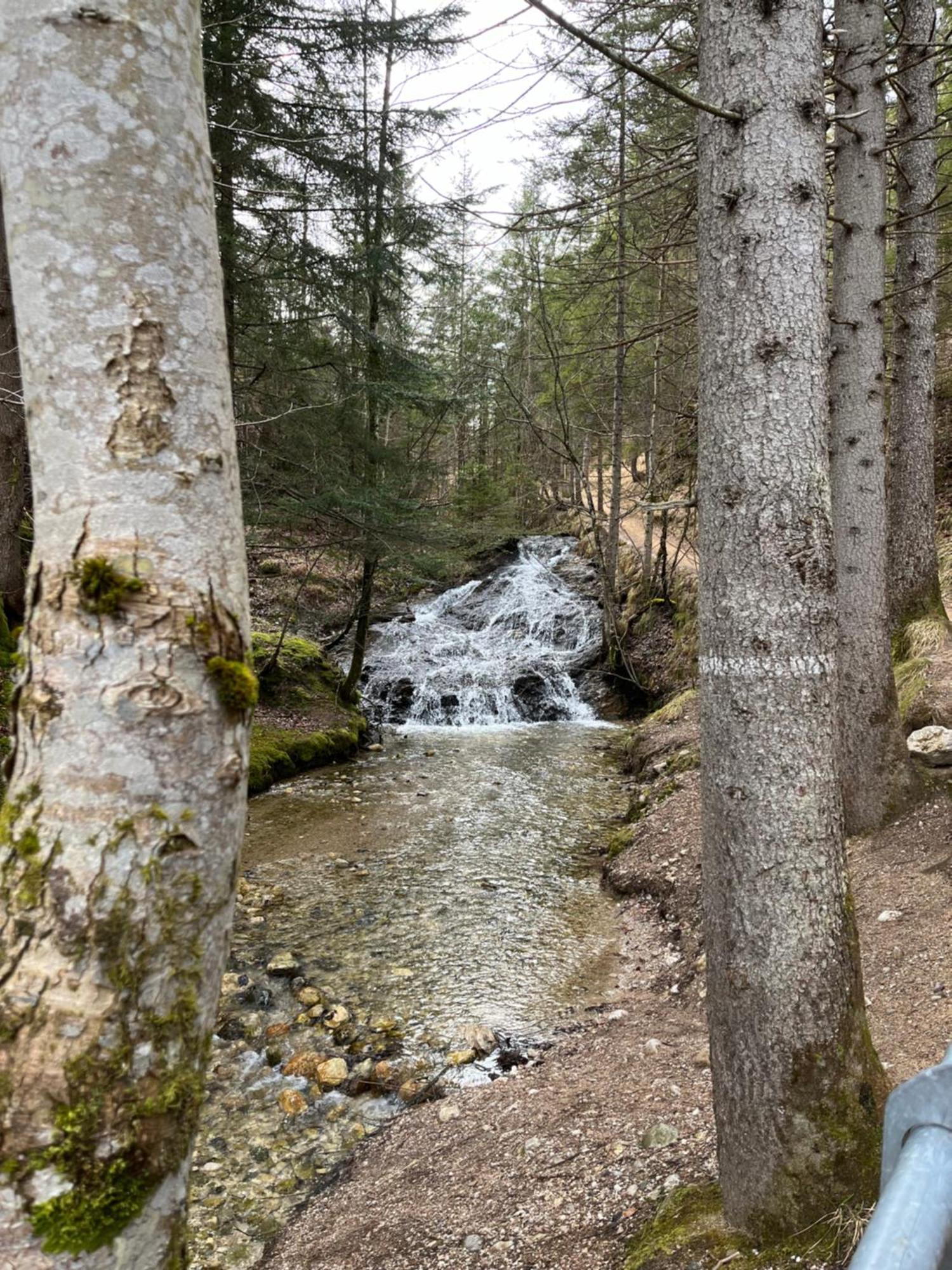 Fewo Lautersee Mittenwald Eksteriør bilde