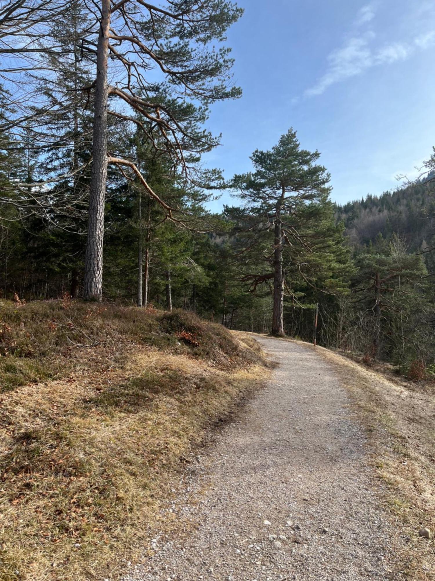 Fewo Lautersee Mittenwald Eksteriør bilde