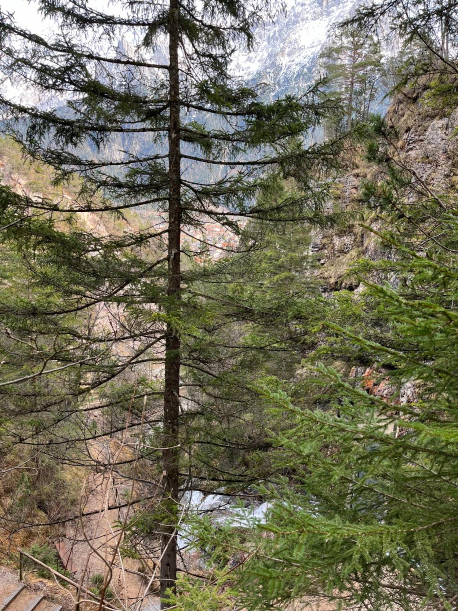 Fewo Lautersee Mittenwald Eksteriør bilde
